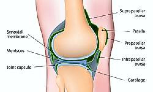 Meniscus Repair & Debridement